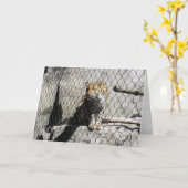 "Leopard #4" Get Well Card Karte (Gelbe Blume)