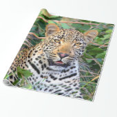 Leopard 6 Wrapping Paper Geschenkpapier (Ungerollt)