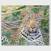 Leopard 6 Wrapping Paper Geschenkpapier (Flach)