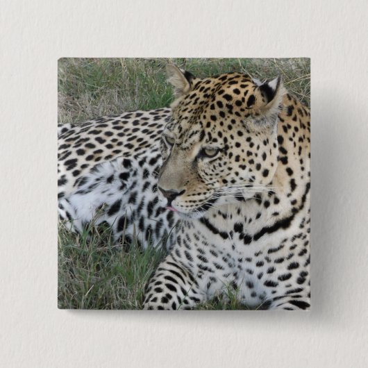 Leopard-Abzeichen Button (Vorderseite)