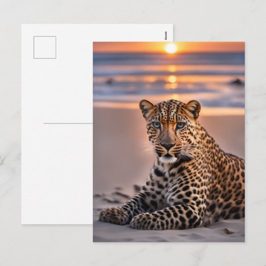 Leopard am Strand Feiertagspostkarte (Vorne/Hinten)