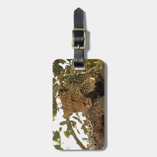 Leopard an der Erholung Gepäckanhänger (Vorderseite vertikal)