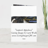 Leopard Appaloosa Horse Grußkarte Karte (Rückseite)