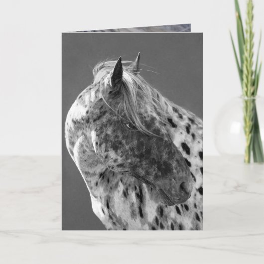 Leopard Appaloosa Horse Grußkarte Karte (Vorderseite)