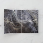 Leopard Appaloosa Horse Grußkarte Karte (Innenseite)