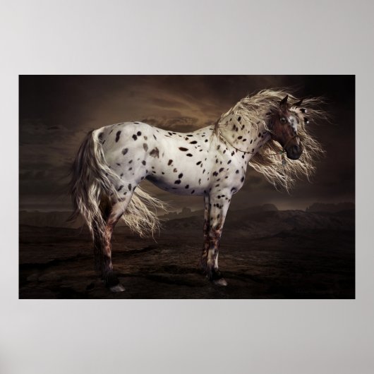 Leopard Appaloosa Poster (Vorne)