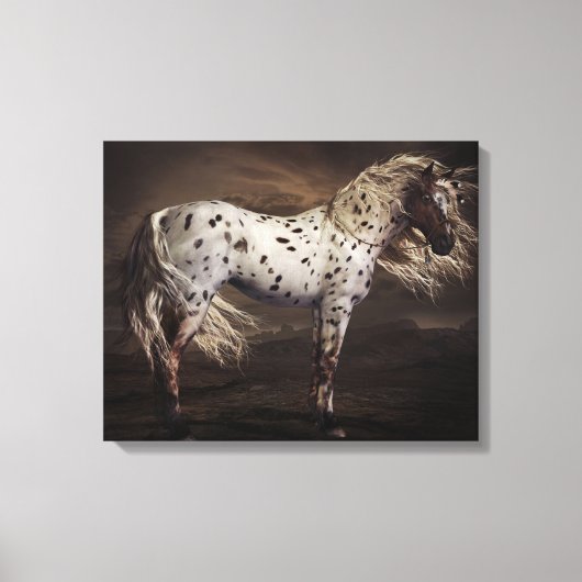 Leopard Appaloosa Stretched Canvas Print Leinwanddruck (Vorderseite)