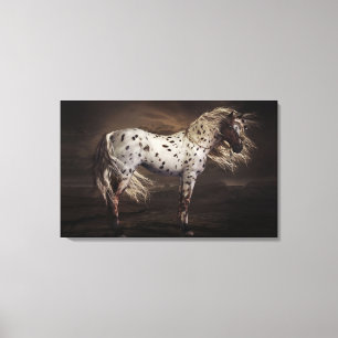 Leopard Appaloosa Stretched Canvas Print Leinwanddruck