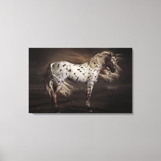 Leopard Appaloosa Stretched Canvas Print Leinwanddruck (Vorderseite)
