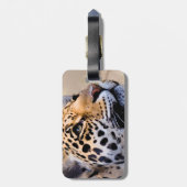 Leopard Art. 1 Gepäckmarke Gepäckanhänger (Rückseite vertikal)