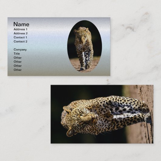 Leopard auf dem Hügel Visitenkarte (Vorne/Hinten)