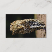 Leopard auf dem Hügel Visitenkarte (Rückseite)