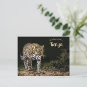 Leopard auf dem Masai Mara National Reserve Kenia Postkarte (Stehend Vorderseite)