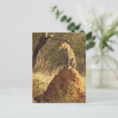 Leopard auf dem Termite Mound in Namibia Postkarte (Stehend Vorderseite)