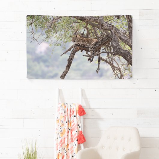 Leopard auf einem Baum Banner (Insitu)