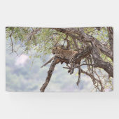 Leopard auf einem Baum Banner (Horizontal)