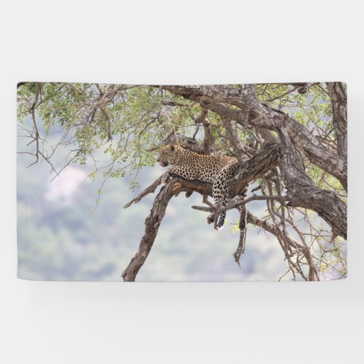 Leopard auf einem Baum Banner (Horizontal)
