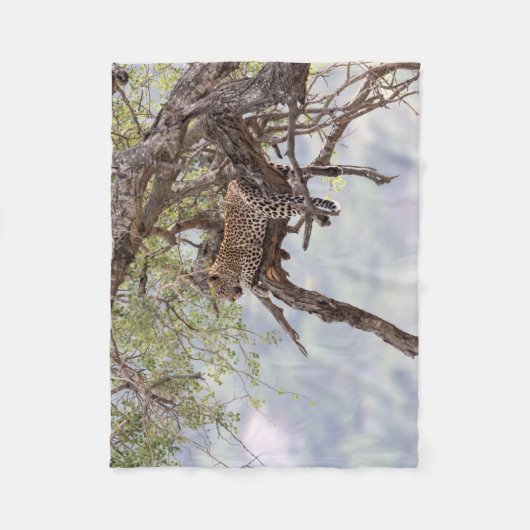 Leopard auf einem Baum Fleecedecke (Vorderseite)