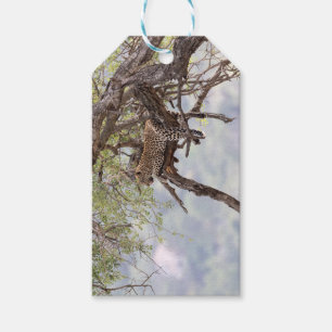 Leopard auf einem Baum Geschenkanhänger