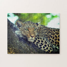 Leopard auf einem Baum Majestic Big Cat Puzzle