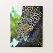 Leopard auf einem Baum Majestic Big Cat Puzzle (Vertikal)