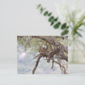 Leopard auf einem Baum Postkarte (Stehend Vorderseite)