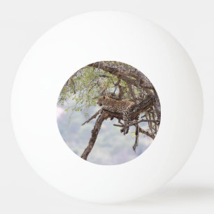 Leopard auf einem Baum Tischtennisball