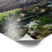 Leopard auf einem Protokoll Fotodruck (Ecke)