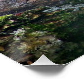 Leopard auf einem Protokoll Poster (Ecke)