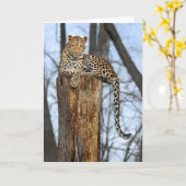 Leopard auf Grußkarte ansehen Karte (Gelbe Blume)