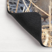 LEOPARD-AUGEN NAHAUFNAHME MOUSEPAD (Ecke)