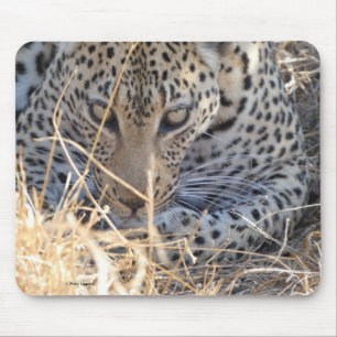 LEOPARD-AUGEN NAHAUFNAHME MOUSEPAD