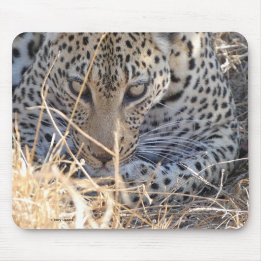 LEOPARD-AUGEN NAHAUFNAHME MOUSEPAD (Vorne)