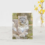 Leopard aus Foto , Tiere , Karte (Gelbe Blume)