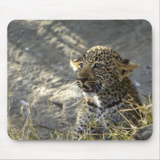 Leopard Baby Mousepad