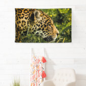 LEOPARD Banner (Insitu)