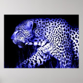 Leopard bei Blue Night Poster Pop Wilde Tiere (Vorne)