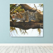 Leopard bereit, Ölgemälde zu drucken Leinwanddruck (Insitu (Holzboden))
