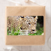 Leopard betrachtet seine Beute (Insitu)