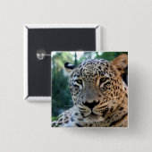 Leopard Big Cat Drucke Button (Vorne & Hinten)
