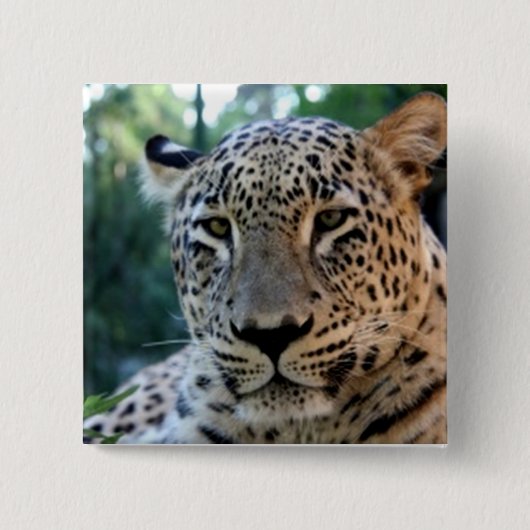 Leopard Big Cat Drucke Button (Vorderseite)