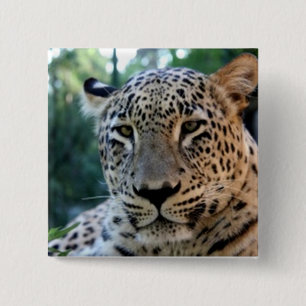 Leopard Big Cat Drucke Button