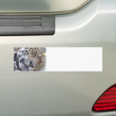 Leopard-Bild-Autoaufkleber Autoaufkleber (Auf Auto)