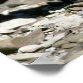 Leopard-Black-Phase-cub (nass vom Fluss) Poster (Ecke)