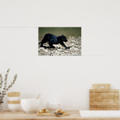 Leopard-Black-Phase-cub (nass vom Fluss) Poster (Küche)