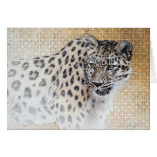 Leopard Blank Card von Andrew Denman