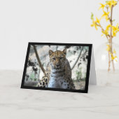 Leopard Blick Karte (Gelbe Blume)