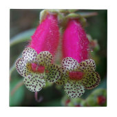 Leopard-Blume Fliese (Vorderseite)