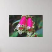 Leopard-Blume Leinwanddruck (Vorderseite)