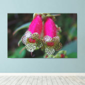 Leopard-Blume Leinwanddruck (Insitu (Holzboden))